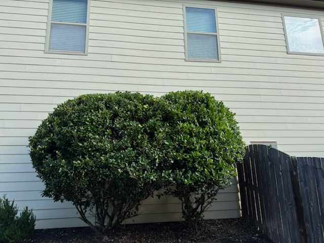 All Photos for Thin Green Line Landscaping & More in Laurens, SC