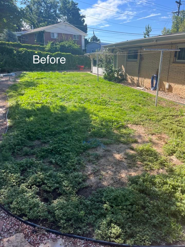 Landscaping for Top of The Edge Landscape in Peyton,  CO