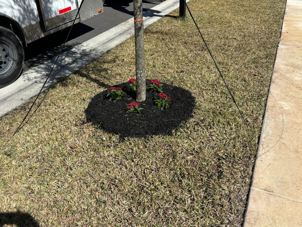 All Photos for Madissons Green in West Palm Beach ,   FL