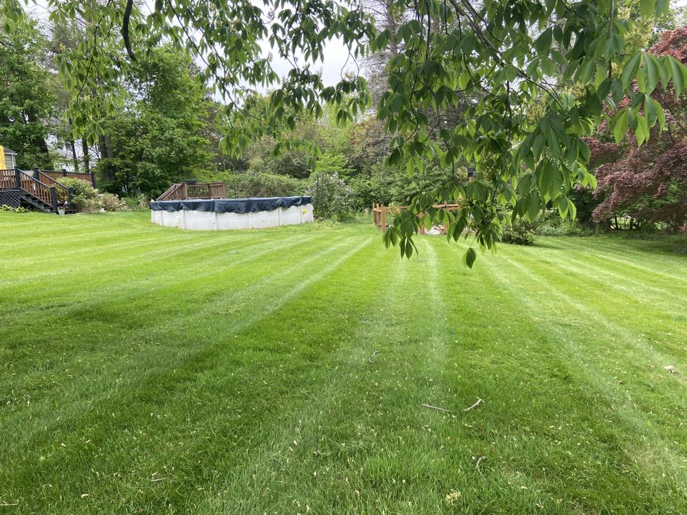 Lawn Maintenance  for Ace Landscaping in Trumbull, CT