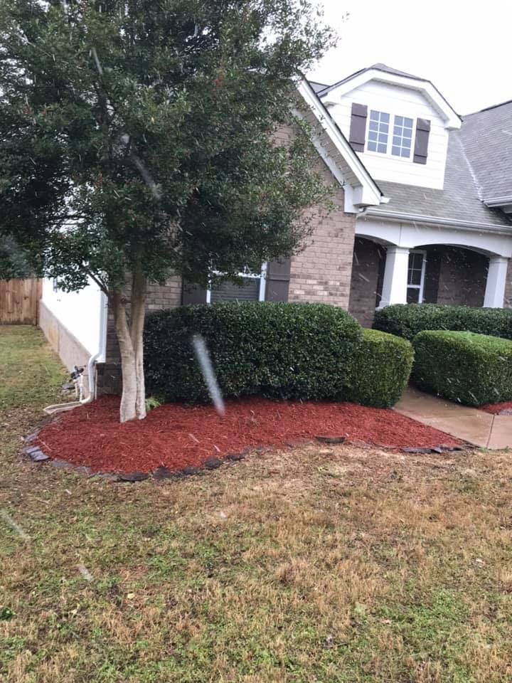 Our Shrub Trimming service focuses on maintaining the health and aesthetic of your shrubs by expertly pruning them to promote growth, shape, and overall appearance within your landscaped areas. for Team Bard Lawn Care SVC in Woodbury, TN