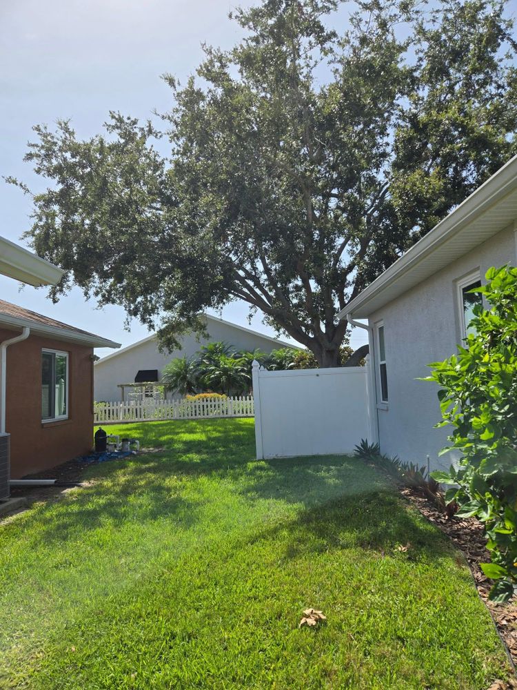 All Photos for TREE BOYS in Ruskin, FL