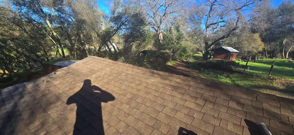 All Photos for George Staddan's Professional Tree Care in Placerville, CA