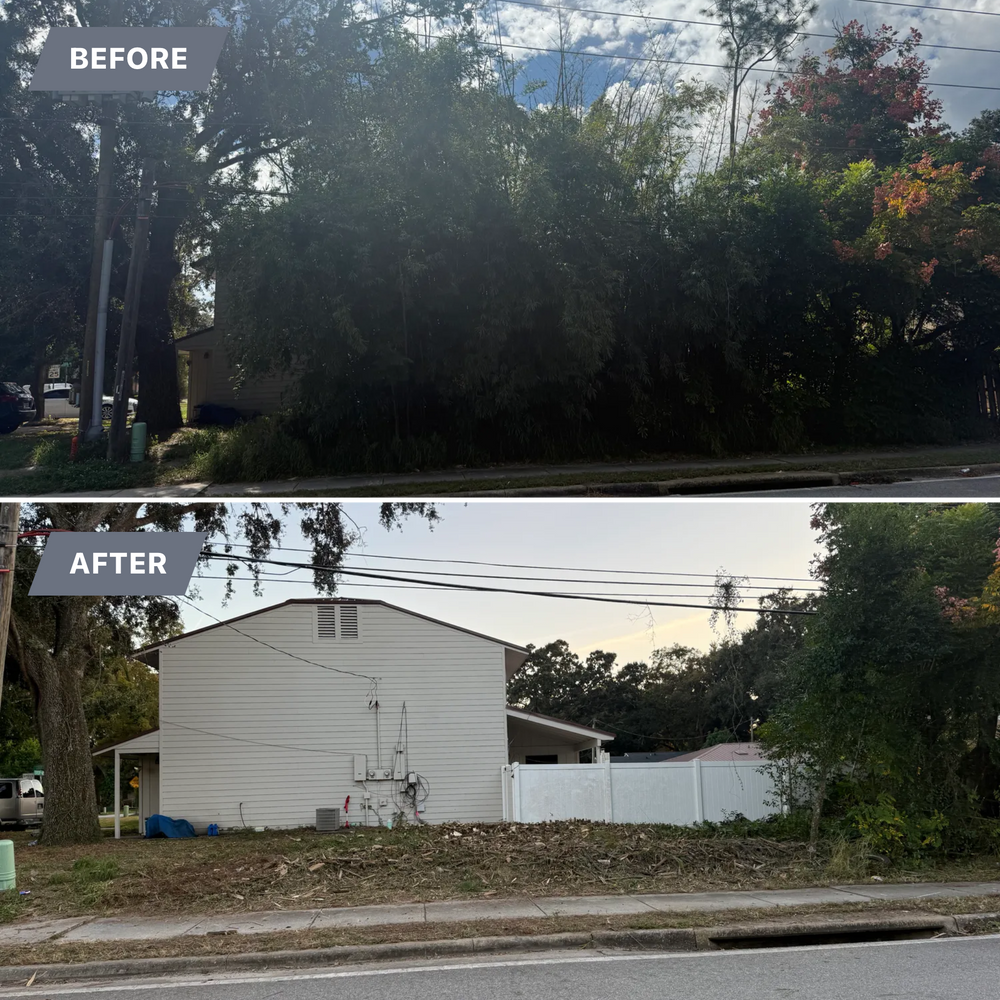 All Photos for Amerigrown Tree And Lawn in Apopka, FL