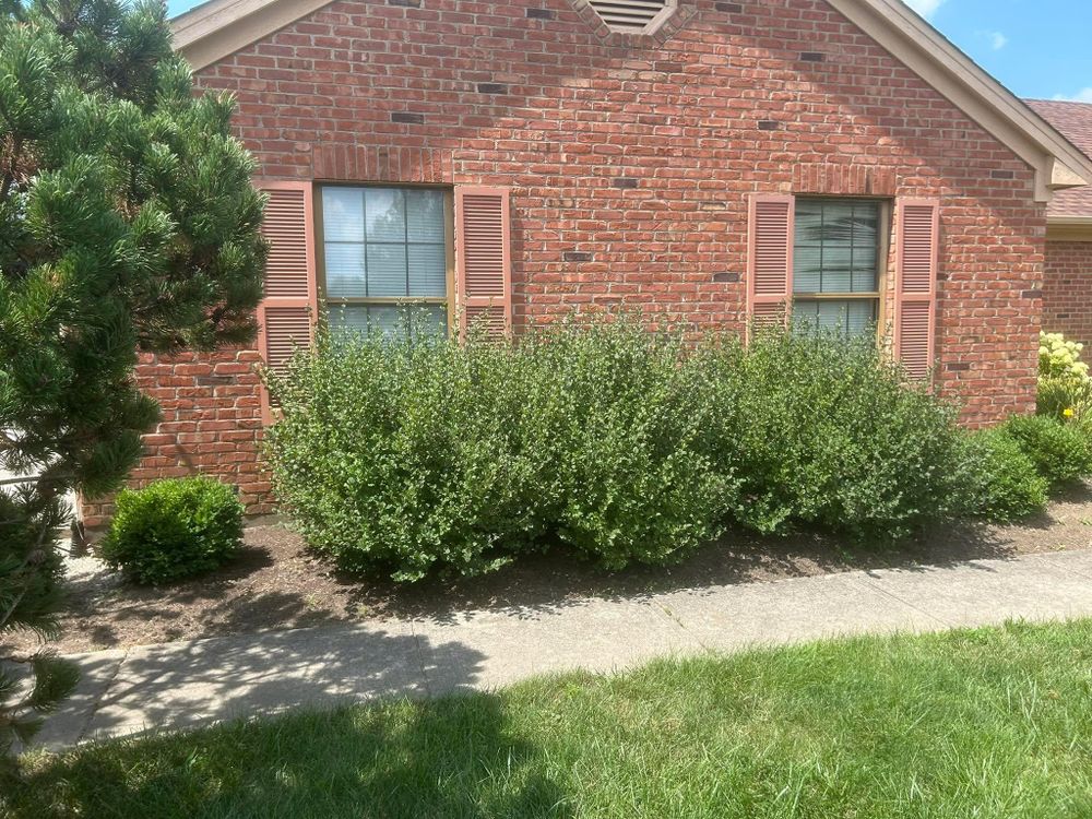 All Photos for High Garden Landscapes in Dayton, OH