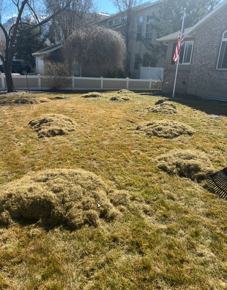 All Photos for Platinum Lawn Service in Santaquin, UT