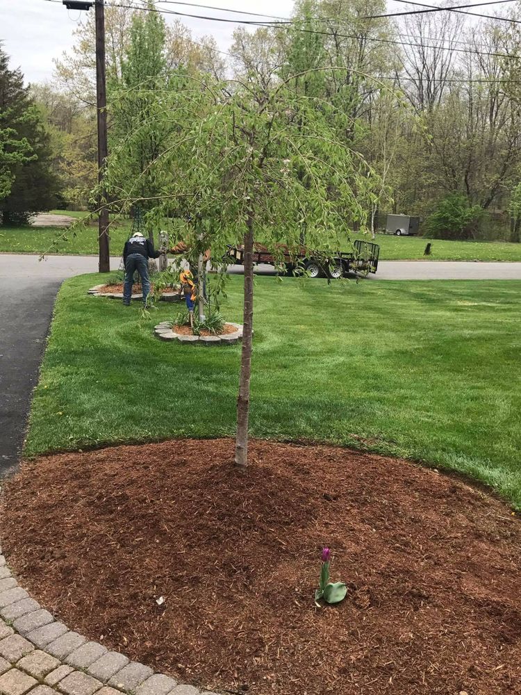 Landscaping for IPL Landscaping LLC in Newton, NJ