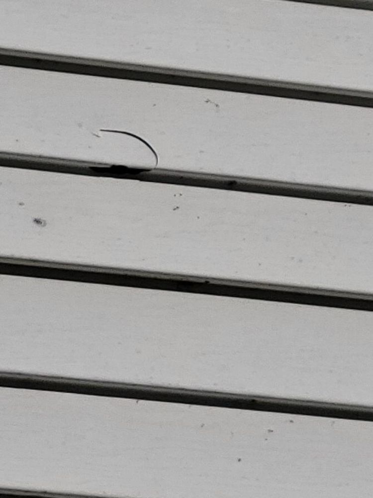 All Photos for Integrity Home Improvements & Renovations in Columbia, Tennessee