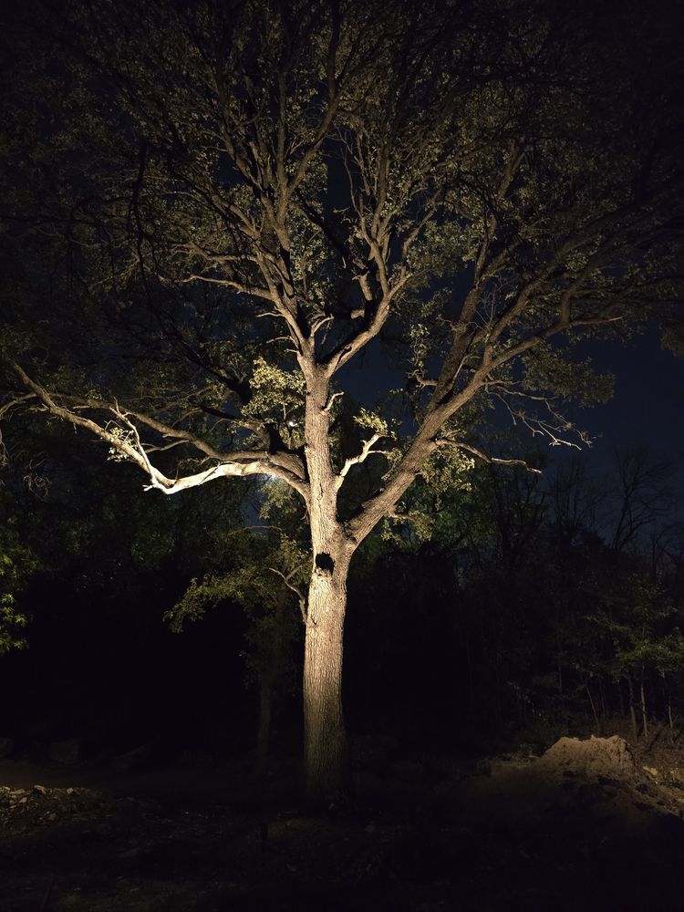 All Photos for Green Pastures Lawn Care in Bastrop, TX