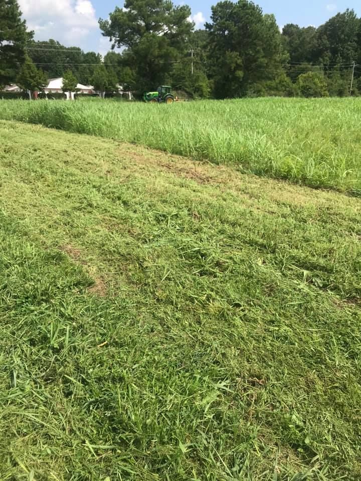 All Photos for Kingdom Landscaping in Memphis, TN