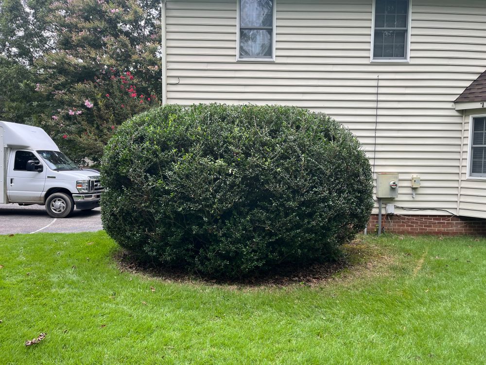 Landscaping for Atlas Home Services in Mechanicsville, VA