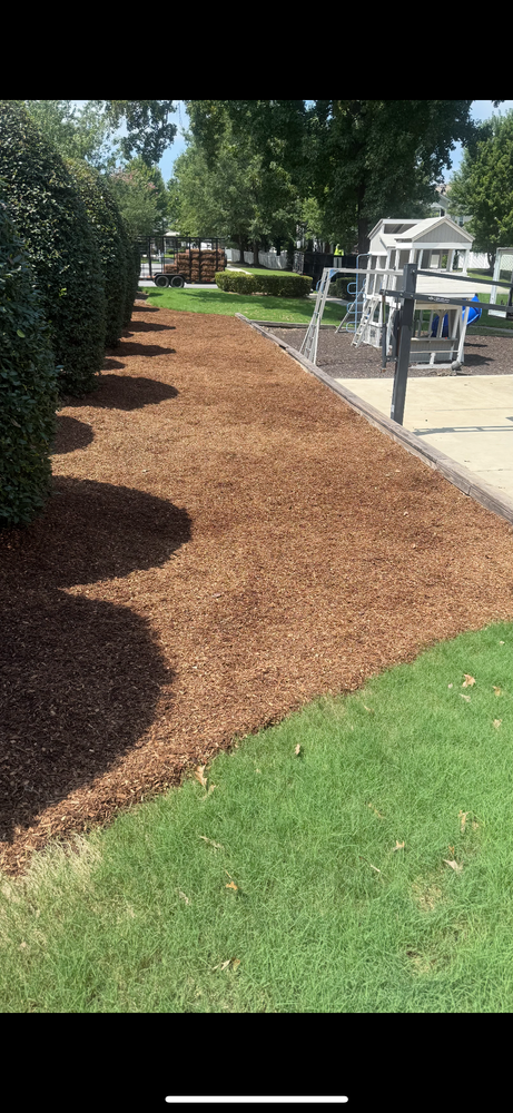 All Photos for Pecina Pine Needles in Monroe, NC