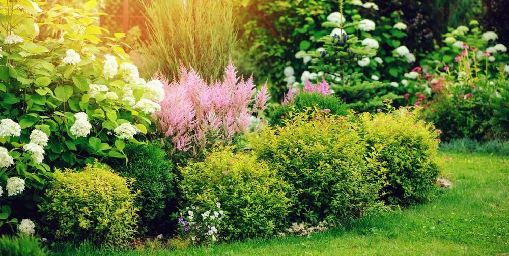 Landscaping for Goat Eater in Forsyth, GA