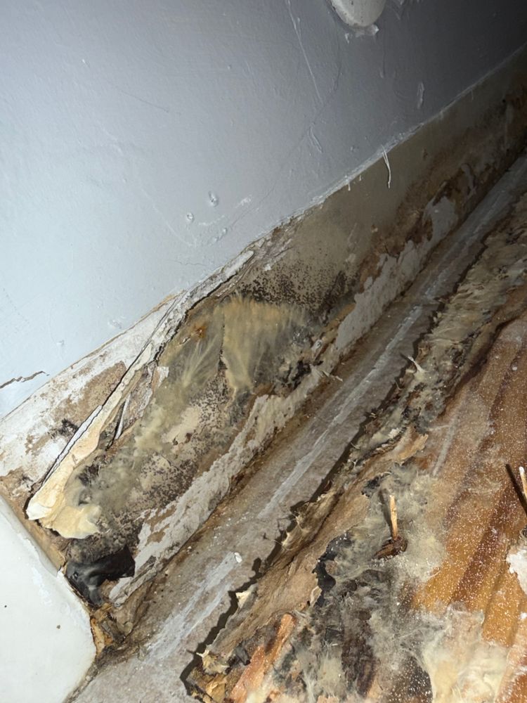 All Photos for N&D Restoration Services When Disaster Attacks, We Come In in Cape Coral,  FL