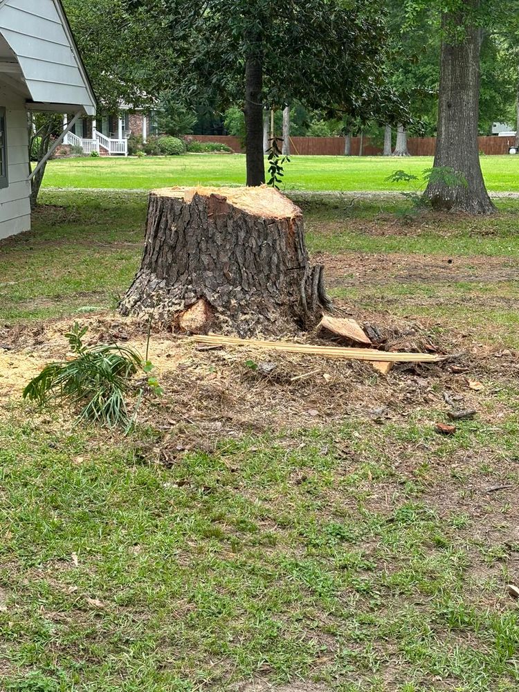 Our professional Tree Removal service is trusted by homeowners for safe and efficient removal of unwanted trees. Our experienced team ensures the job is done with minimal disruption to your property. for Morace Tree Service in Natchez,,  MS