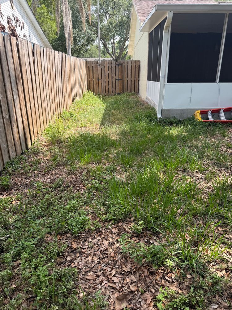 All Photos for The Yardman in Tampa, FL