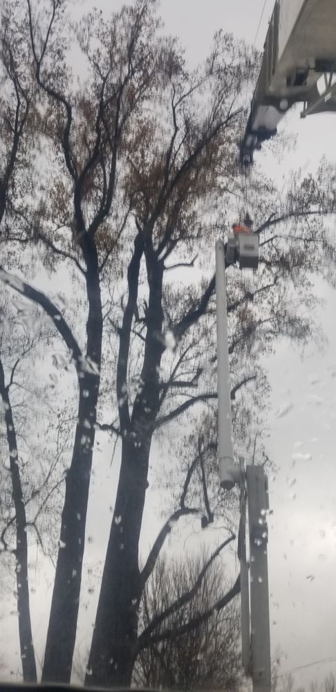 All Photos for Advanced Tree Solutions in Rockville, IN