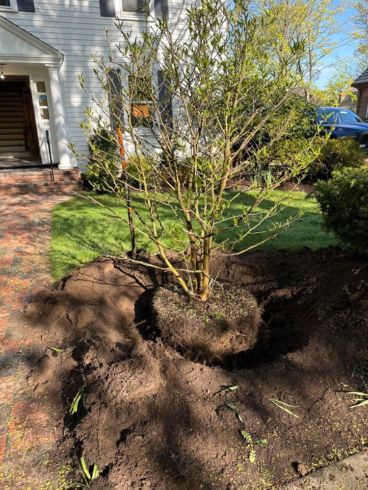 All Photos for Saavedra & Sons Landscaping in Waltham, MA