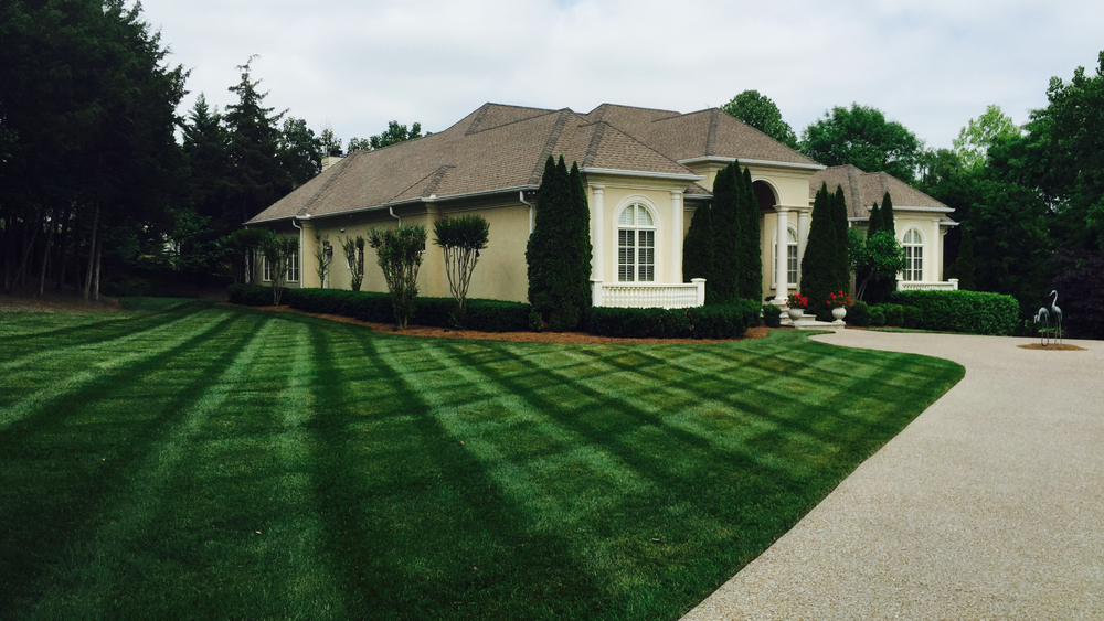 All Photos for Russell's Lawn Care Plus in Nashville, TN