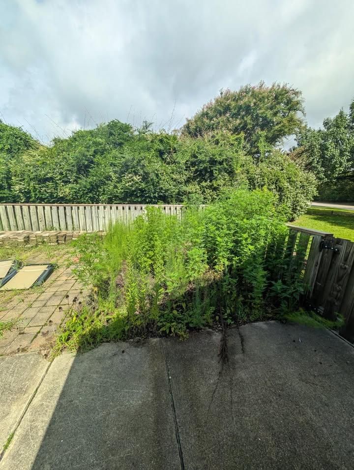 All Photos for Carolina Odd Jobs Inc. in Sneads Ferry, NC