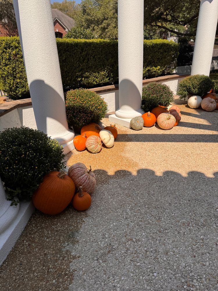 Fall Decorations  for Espinoza Landscape & Construction  in San Antonio, TX