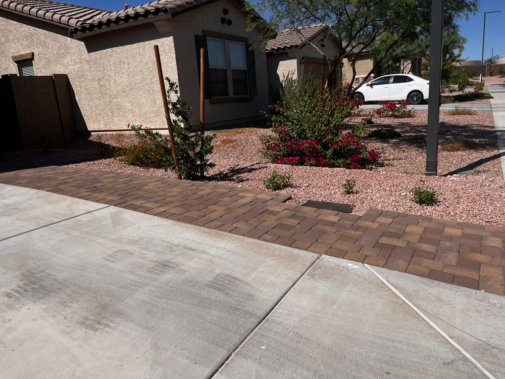 All Photos for AZ Tree & Hardscape Co in Surprise, AZ