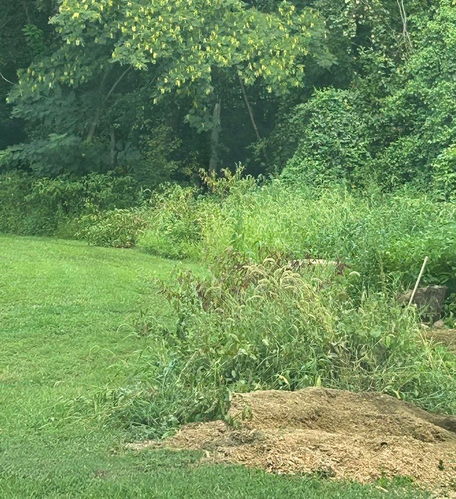 Looking for reliable bush hogging near me? Our expert team offers efficient land clearing, transforming overgrown areas into usable landscapes. Trust us to enhance your property's appearance and functionality with precision and care. for Mad Dust Stump Grinding in Howard County, MD