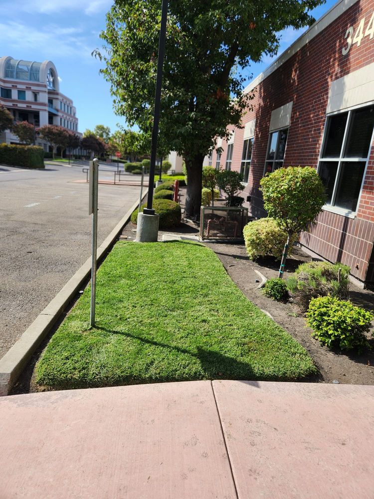 Hardscaping for Vargas LANSCAPE LLC in Stockton, CA