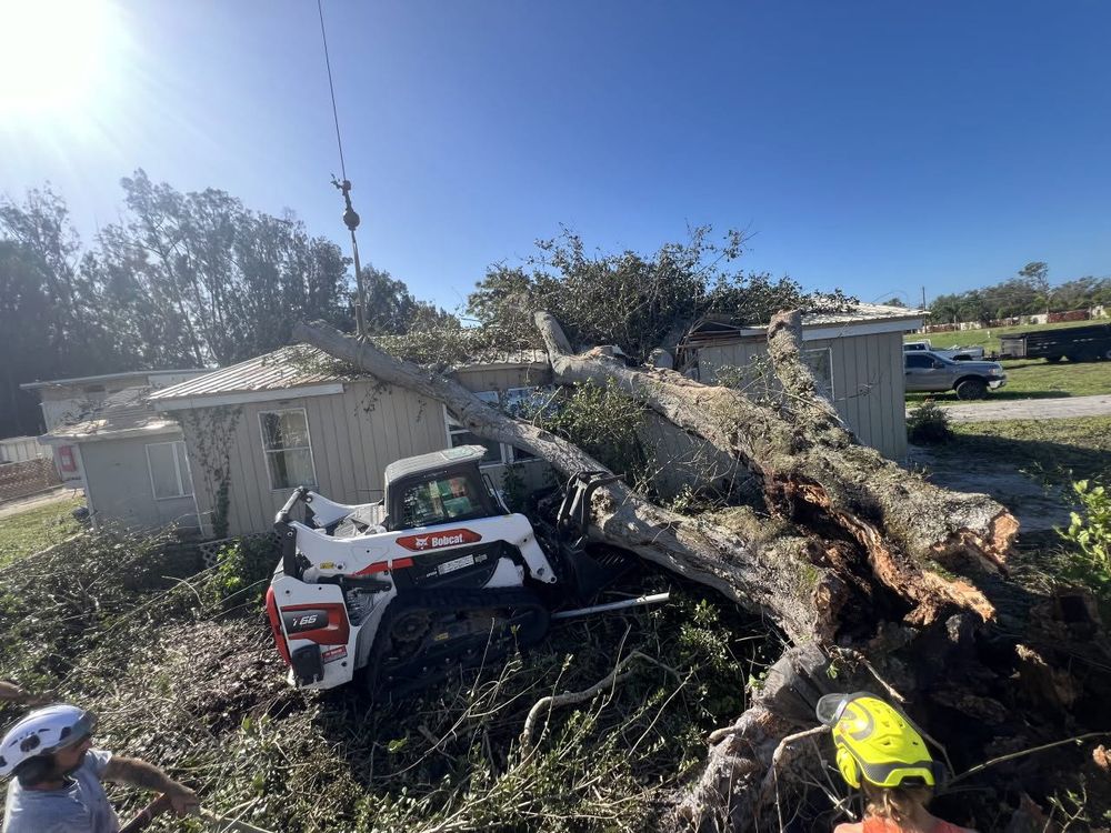 Our emergency tree service provides rapid, professional storm damage response to safeguard your home. Our skilled team handles fallen trees and debris efficiently, ensuring safety and restoring your property promptly. for TREE BOYS in Ruskin, FL
