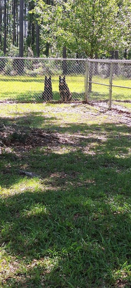 All Photos for Eddie's Painting Service in Gulf Breeze, FL