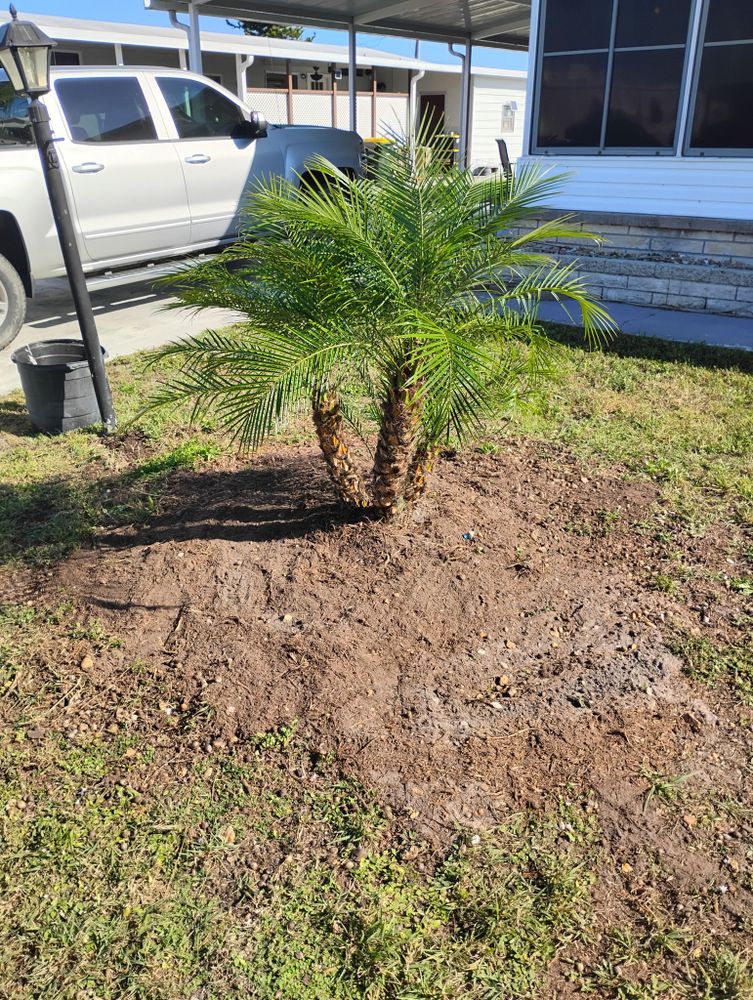 All Photos for Highlands Tree Service LLC in Avon Park, FL