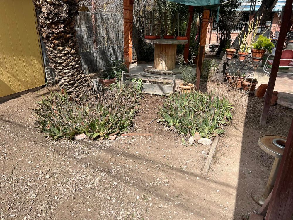 All Photos for Sammy’s Yard Maintenance And Irrigation Repairs in Oracle, AZ