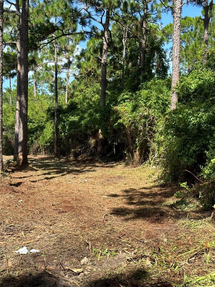 All Photos for White’s Land Maintenance in Milton,, FL