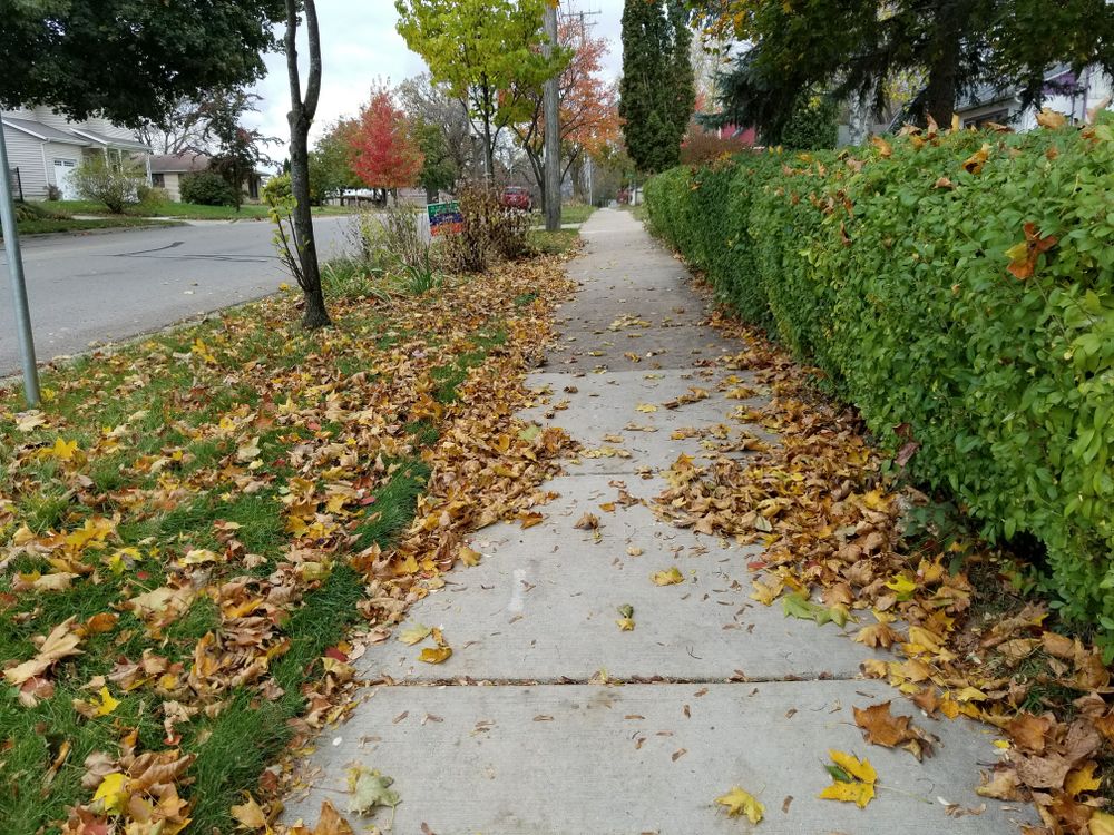 All Photos for TCB Lawn Care & Snow Removal in Sun Prairie, WI