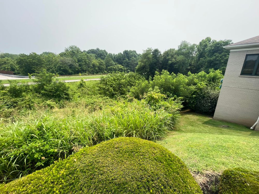 Our Brush Clearing service, a key part of our land clearing service, efficiently removes overgrown vegetation, enhancing your property's safety and appeal while preparing it for future development or landscaping. for Taylormade Land Service LLC in Hopkins County, KY