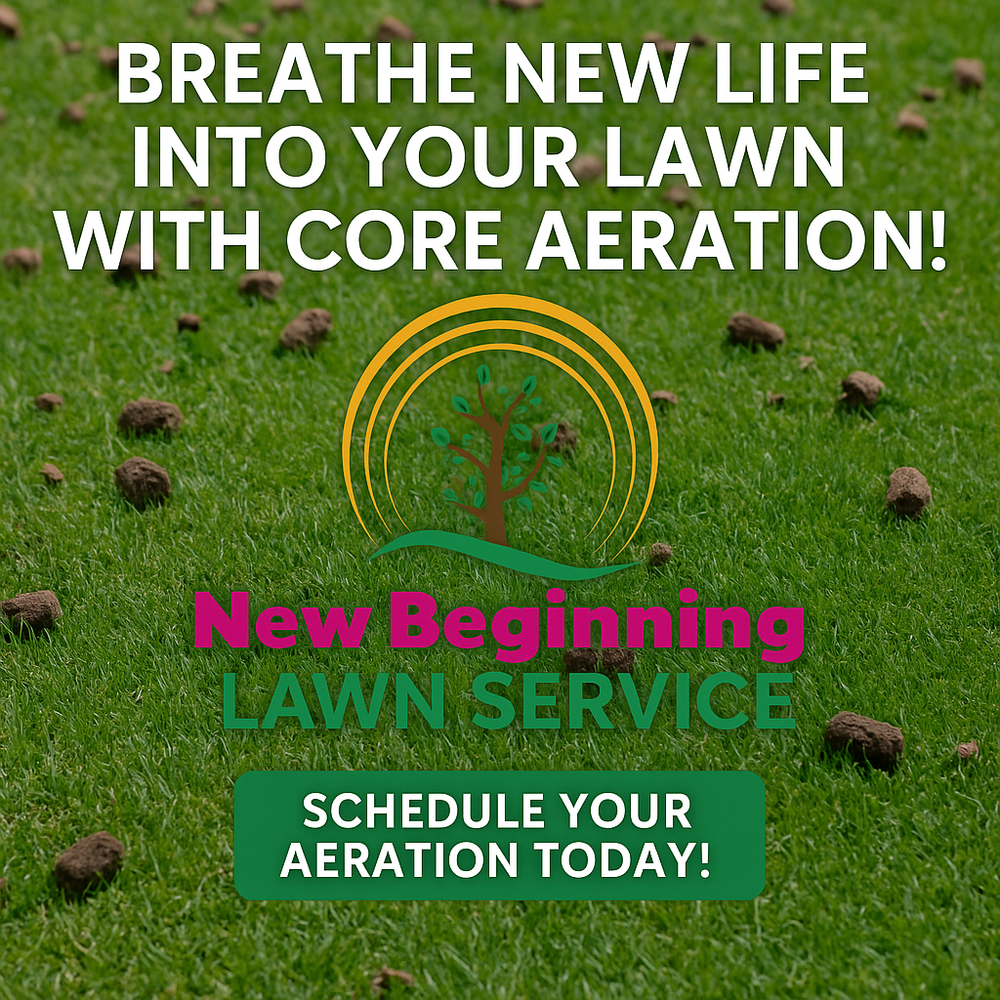 Revitalize your lawn with our aeration services! By poking small holes in the soil, we improve air circulation, water absorption, and nutrient uptake for healthier and greener grass. for New Beginning Landscape & Remodel LLC in Atlanta, GA