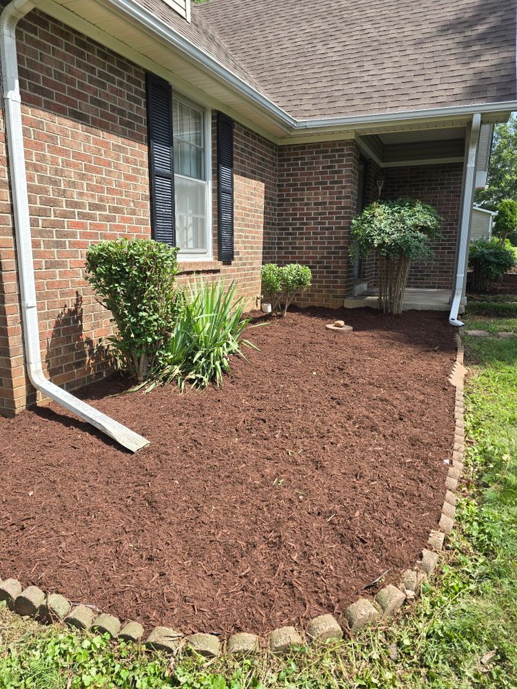 Before and after  for Optimum Tree Service And Landscaping in Bowling Green, KY