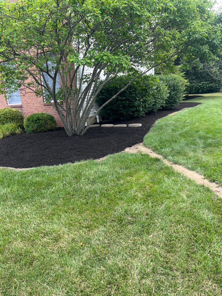All Photos for Mark’s Mowing & Landscaping LLC  in Ashville, OH