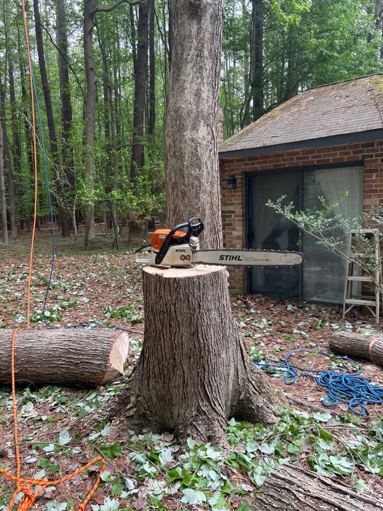 All Photos for The Whole 9 Yards Landscape VA in Heathsville, VA