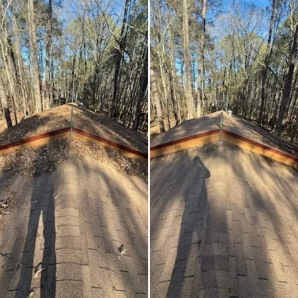 All Photos for Healthy Roots Landscaping in Apex, NC