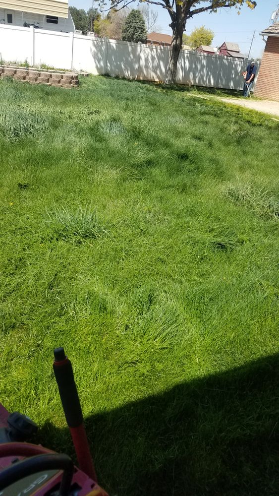 All Photos for Platinum Lawn Service in Santaquin, UT