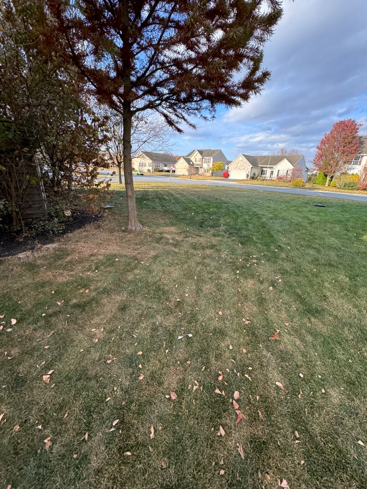 All Photos for Landscape & Lawn Care Pros in Allentown, PA