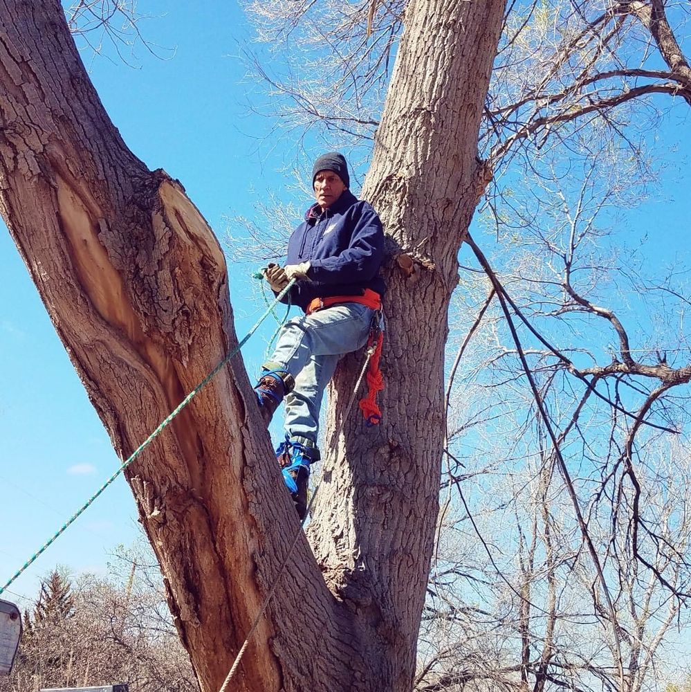 Tree Top Services team in Fitch, TX - people or person