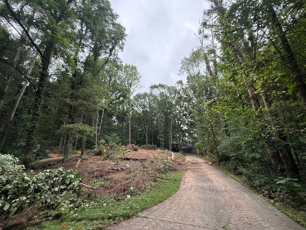 All Photos for Palmer Property Services in Middleville, MI