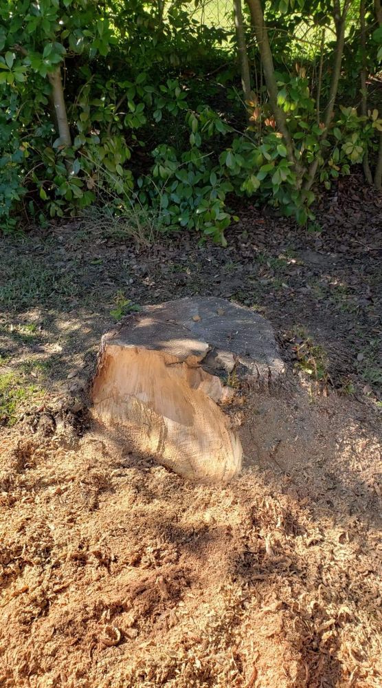 All Photos for Paquito's Landscaping in Ellis County, TX