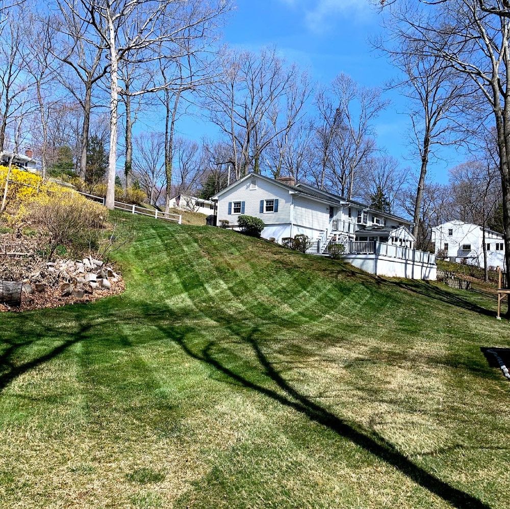 Fall Clean Up for Fryer Lawn & Landscape LLC in Southington, CT