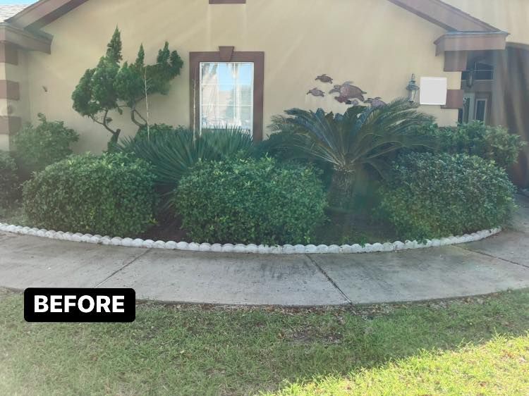 Lawn Care for John’s Lawns in South Padre Island, TX