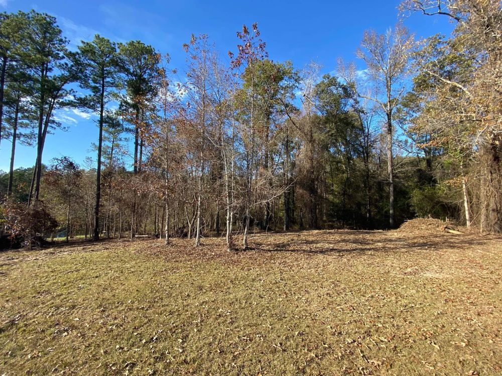 Discover what is land clearing with our expert service, efficiently removing trees, debris, and obstacles to prepare your property for construction or landscape projects. Ensure a safe and clean start today. for McGough Construction in Reynolds, GA