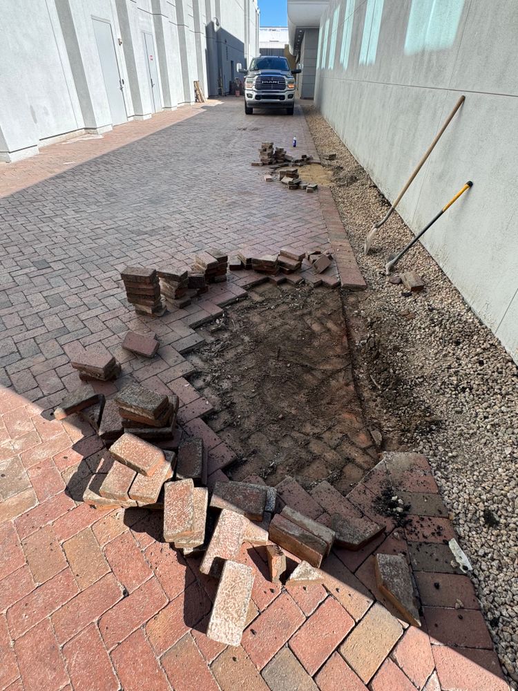 All Photos for Grand Canyon State Landscape Inc. in Surprise, AZ