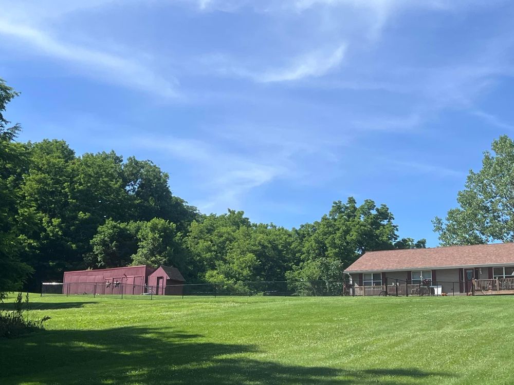 All Photos for Black Sheep Fencing LLC  in Odessa, MO 